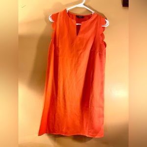 NWOT dress scalloped around neck